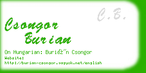 csongor burian business card